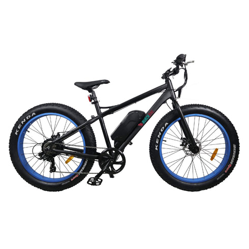 Burch Electric Mountain Bike Eagle